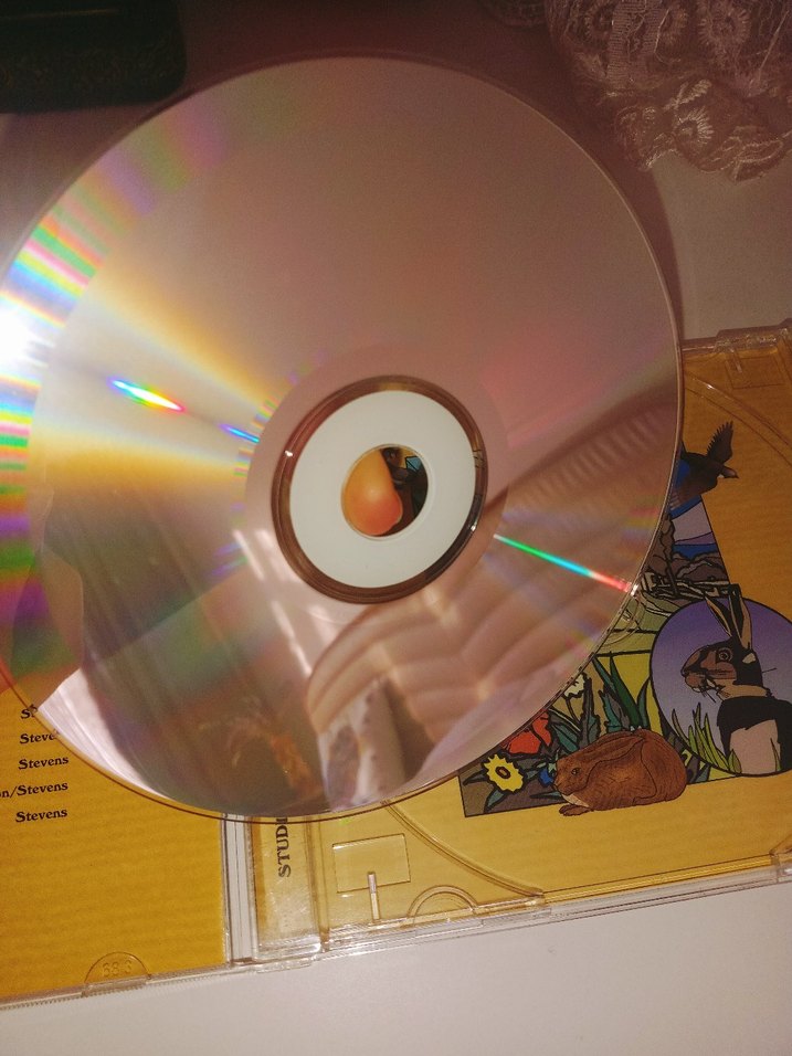 Cat Stevens , Morning Has Broken albümü, Studio 99 - Görsel 5