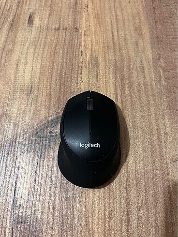 Mouse