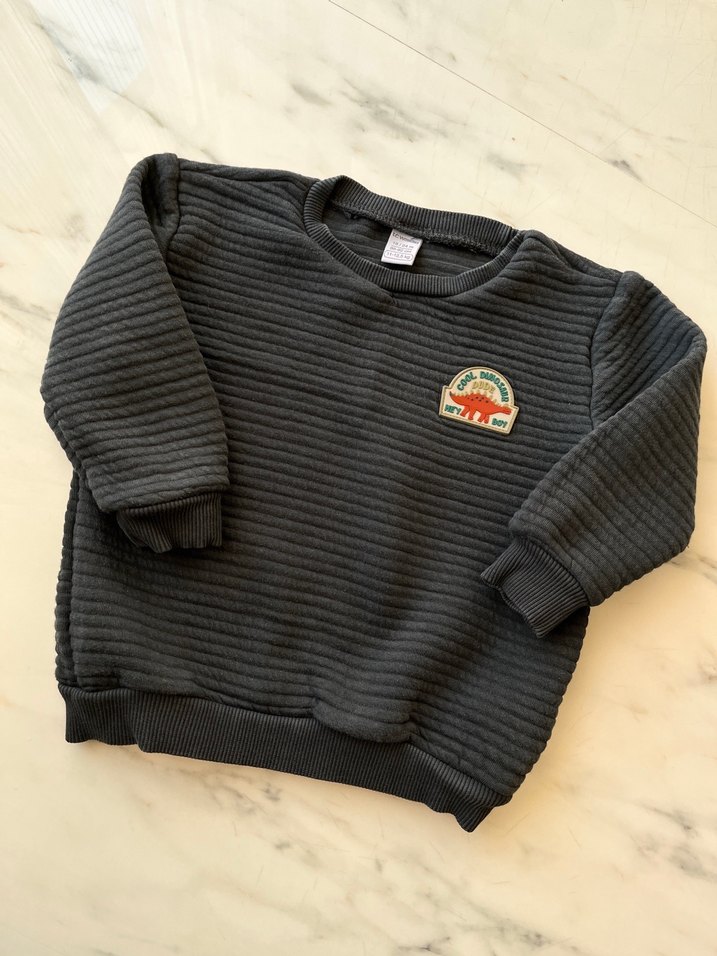 Lc Waikiki Erkek Çocuk Gri Sweatshirt - Görsel 2