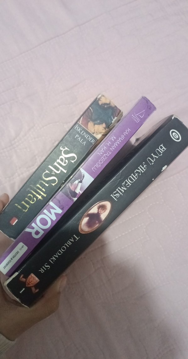 Roman Kitap Seti: Şah ve Sultan, Mor, Zırhın Ardındaki Sır - Görsel 3