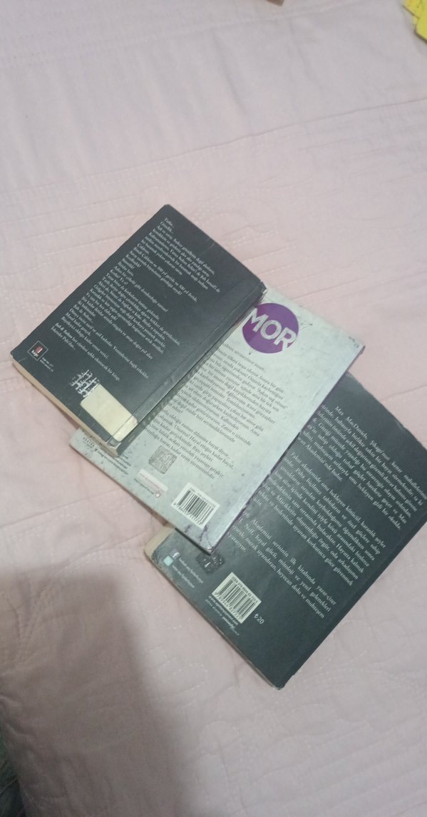 Roman Kitap Seti: Şah ve Sultan, Mor, Zırhın Ardındaki Sır - Görsel 2