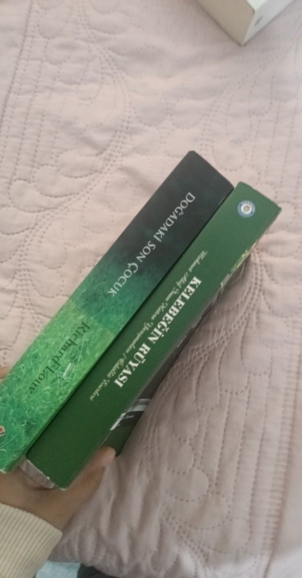 Richard Louv - Doğadaki Son Çocuk & Kelebeğin Rüyası - Görsel 2