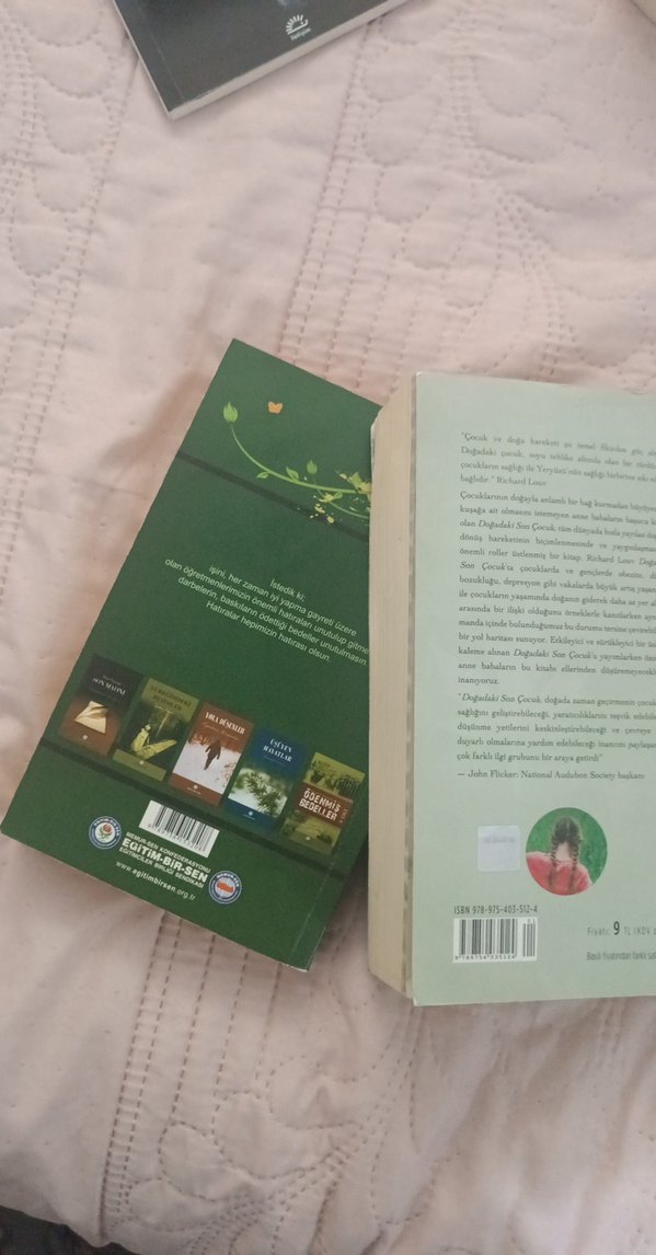 Richard Louv - Doğadaki Son Çocuk & Kelebeğin Rüyası - Görsel 3