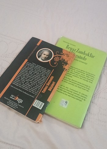 Yalnız Gezenin Düşleri ve Beyaz Zambaklar Ülkesinde - Görsel 2