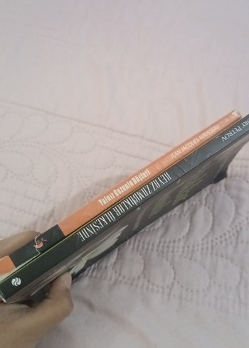 Yalnız Gezenin Düşleri ve Beyaz Zambaklar Ülkesinde - Görsel 3