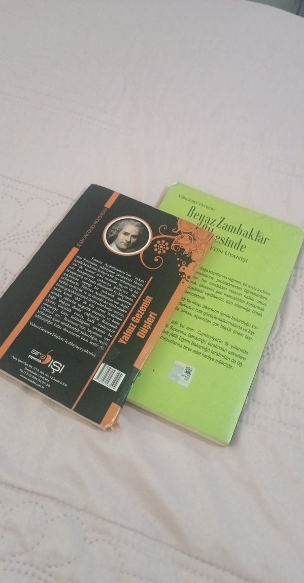 Yalnız Gezenin Düşleri ve Beyaz Zambaklar Ülkesinde - Görsel 2