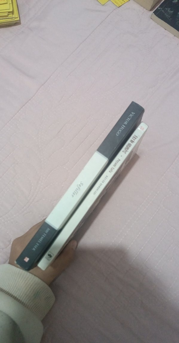 Sefiller ve Fatih-Harbiye Romanları - Görsel 3