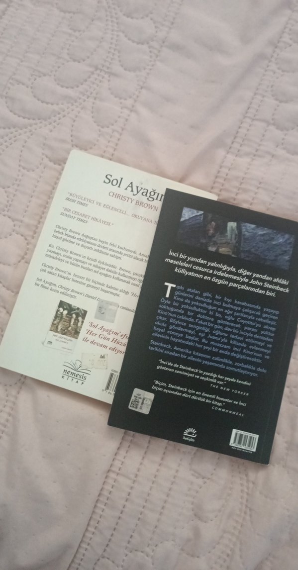 John Steinbeck - İnci ve Christy Brown - Sol Ayağım - Görsel 2