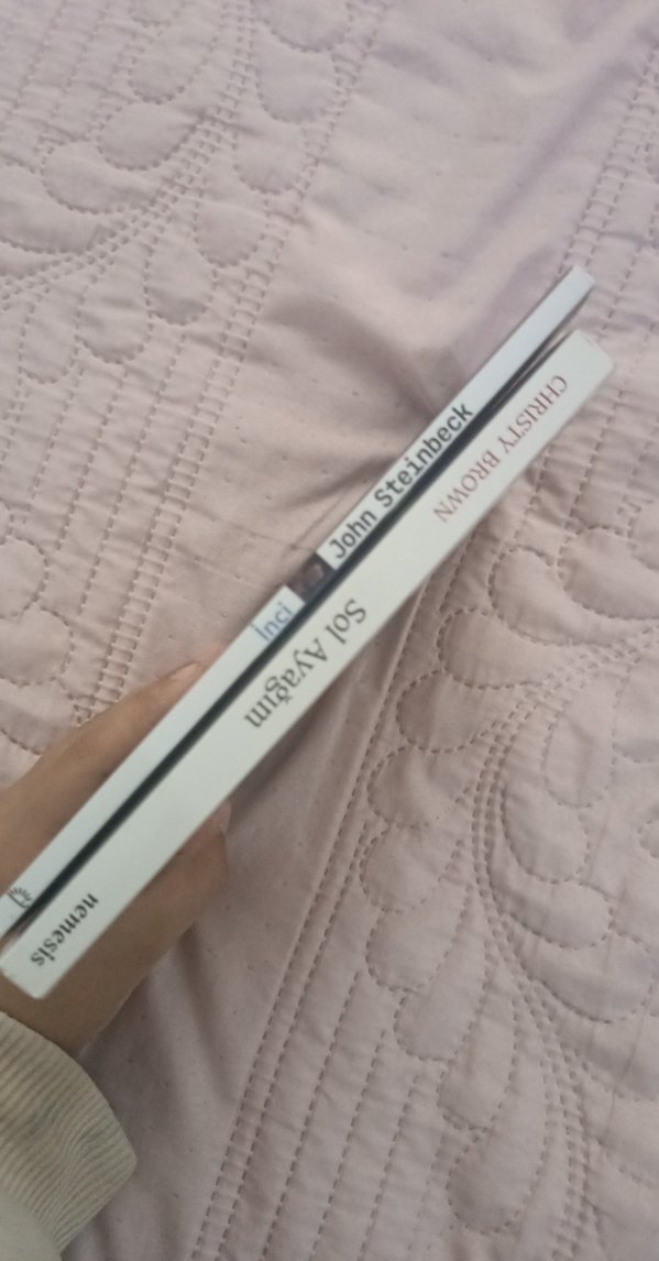 John Steinbeck - İnci ve Christy Brown - Sol Ayağım - Görsel 3