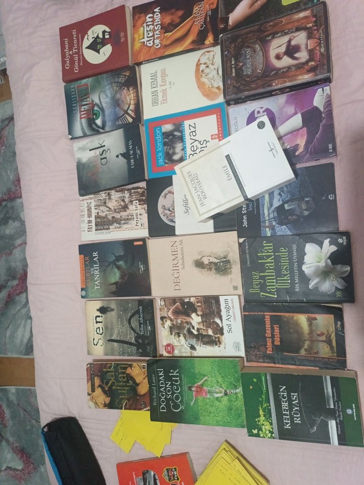 Çeşitli Roman Kitapları Koleksiyonu - Görsel 2