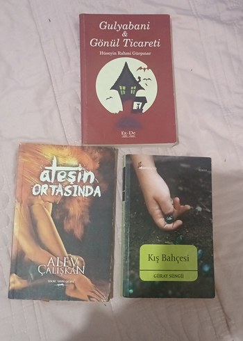 Gulyabani, Ateşin Ortasında, Kış Bahçesi Romanları - Görsel 2