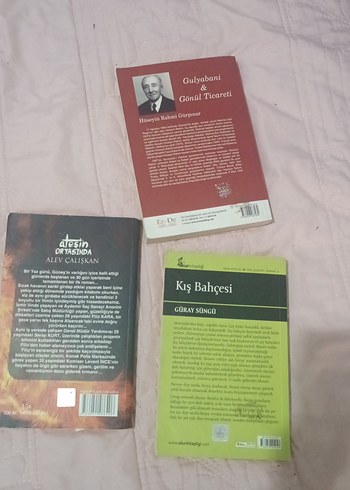 Gulyabani, Ateşin Ortasında, Kış Bahçesi Romanları - Görsel 4