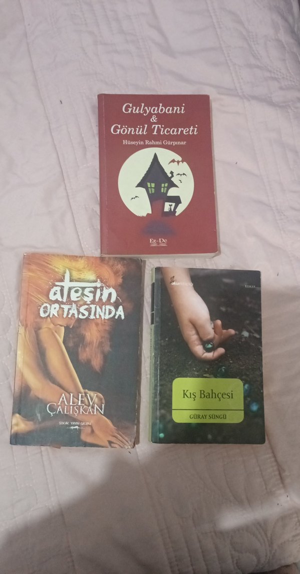 Gulyabani, Ateşin Ortasında, Kış Bahçesi Romanları - Görsel 2