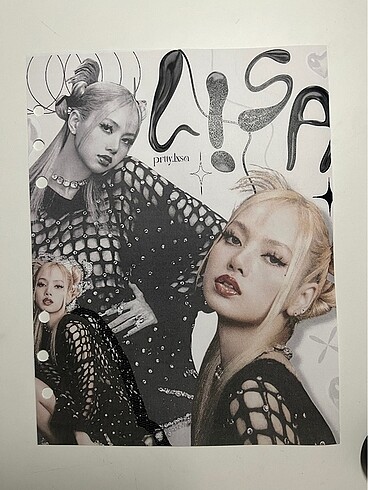 Lisa binder cover