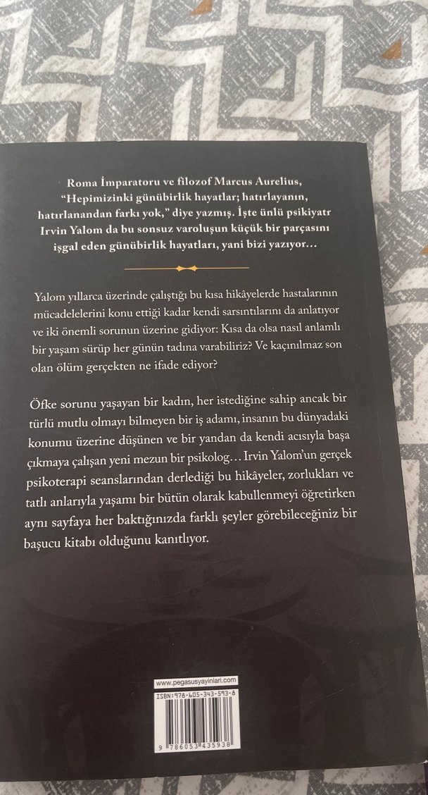 Günübirlik Hayatlar - Irvin D. Yalom - Görsel 2