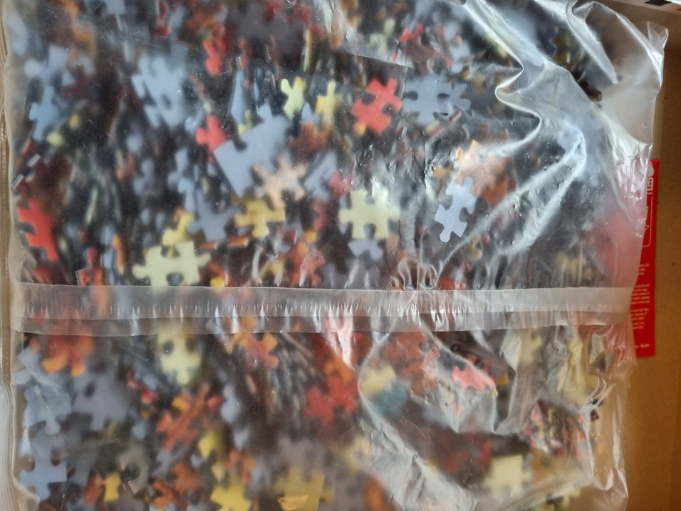 1500 parça puzzle kaplumbağa terbiyecisi - Görsel 2