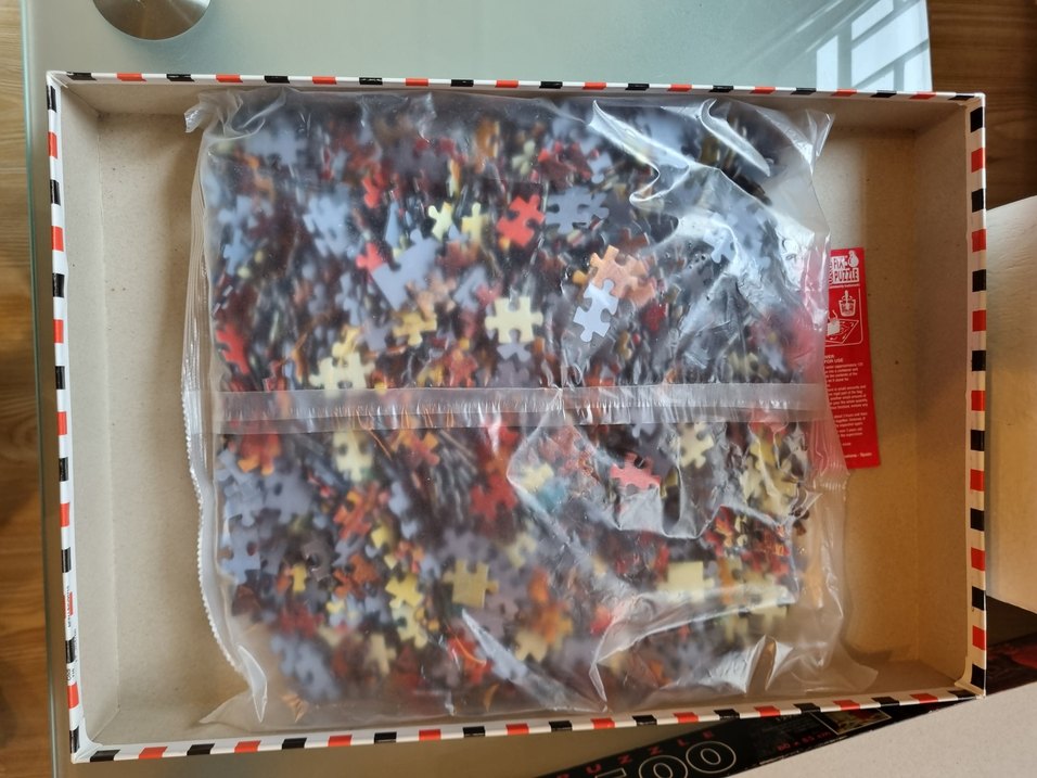 1500 parça puzzle kaplumbağa terbiyecisi - Görsel 3