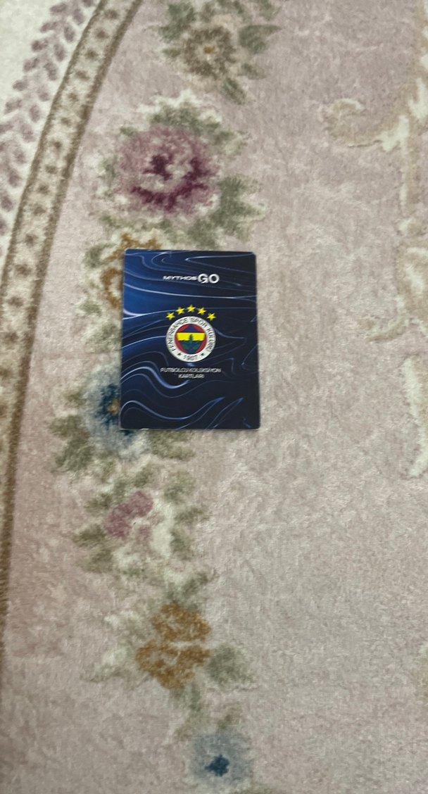 Sarı Cenk Tosun Hafıza Kartı - Görsel 2