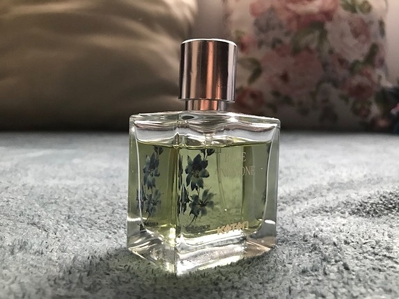 Koton KOTON PARFÜM Blue Anemome 50mL