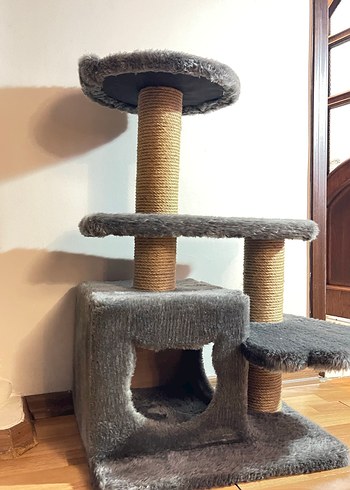 Kedi evi - Görsel 6