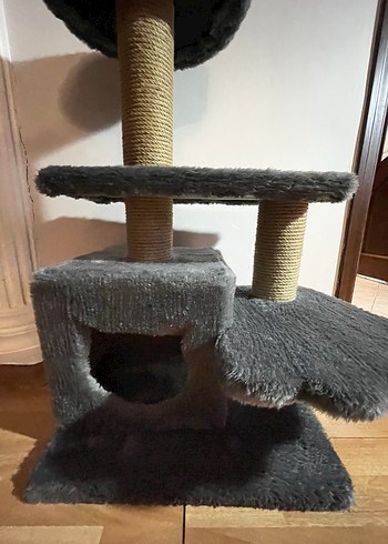 Kedi evi - Görsel 8