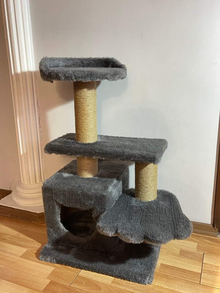 Kedi evi - Görsel 4