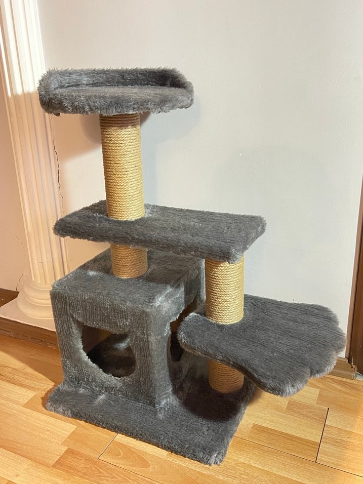 Kedi evi - Görsel 3