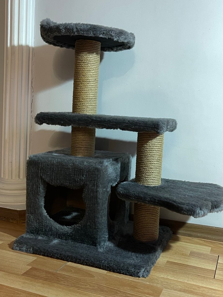 Kedi evi - Görsel 2