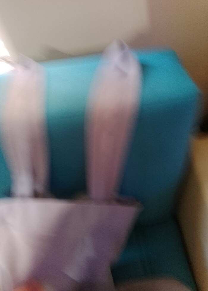 Salopet etek - Görsel 3