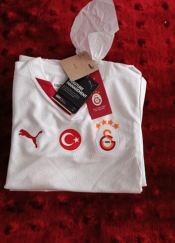 Puma Galatasaray çocuk forması