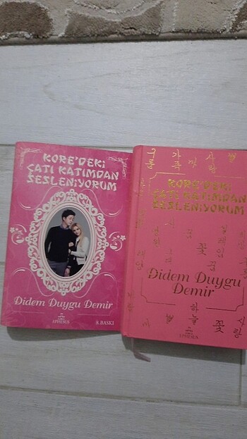Beden Kore'deki Çatı Katımdan Sesleniyorum - Didem Duygu Demir