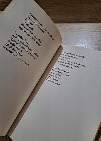 Sunay Akın 62 Tavşanı - Görsel 6