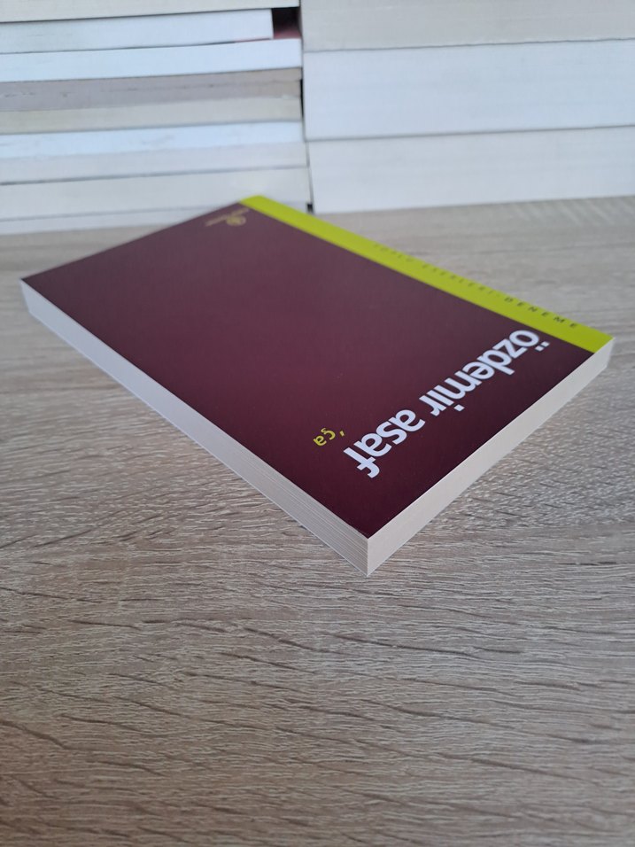Özdemir Asaf 'ça' Kitap - Görsel 4