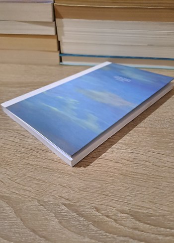 Çin'den Peru'ya Dünya Şiirinden Çeviriler Cevat Çapan - Görsel 3