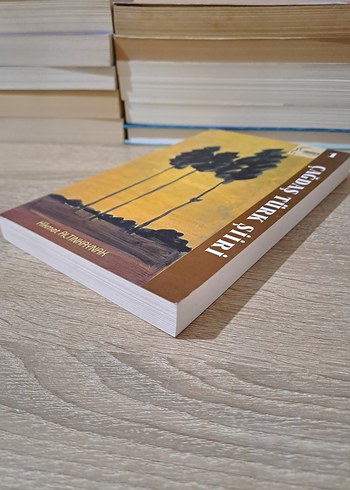 Çağdaş Türk Şiiri - Hikmet Altınkaynak - Görsel 3