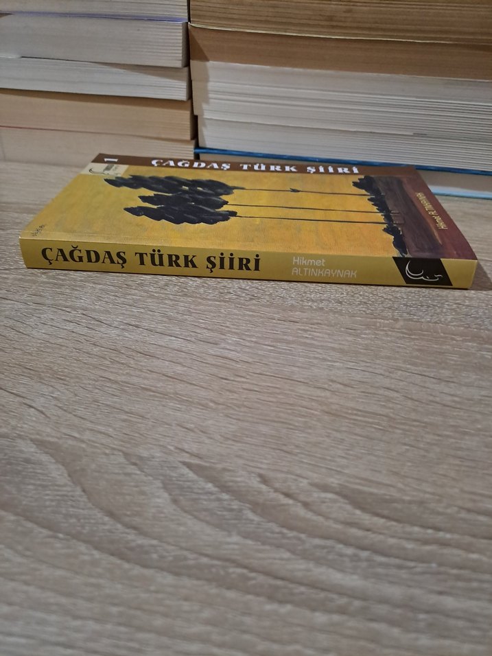 Çağdaş Türk Şiiri - Hikmet Altınkaynak - Görsel 5