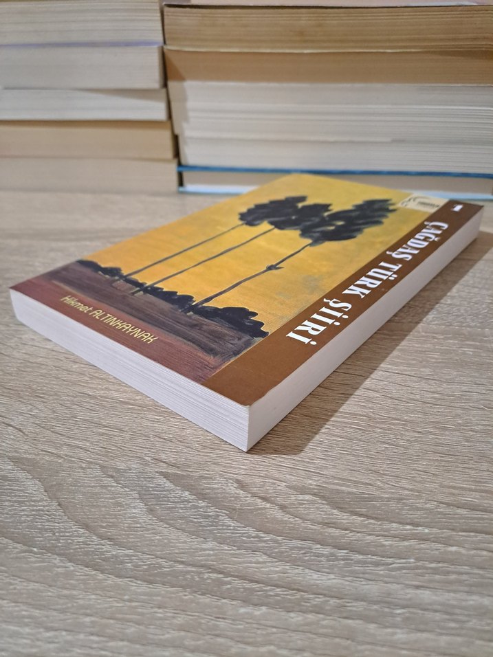 Çağdaş Türk Şiiri - Hikmet Altınkaynak - Görsel 3
