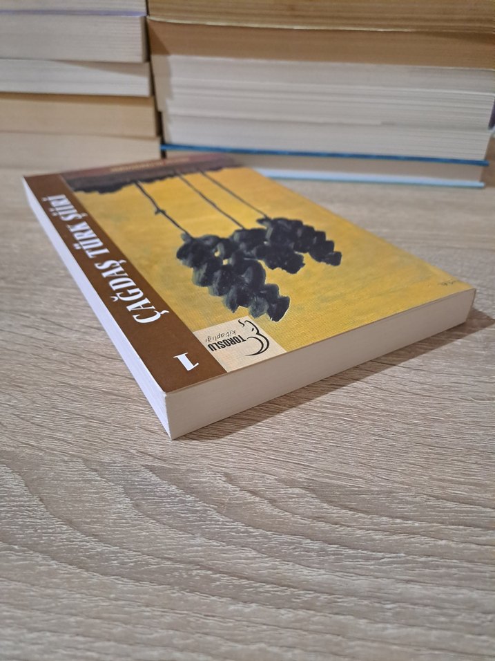 Çağdaş Türk Şiiri - Hikmet Altınkaynak - Görsel 4