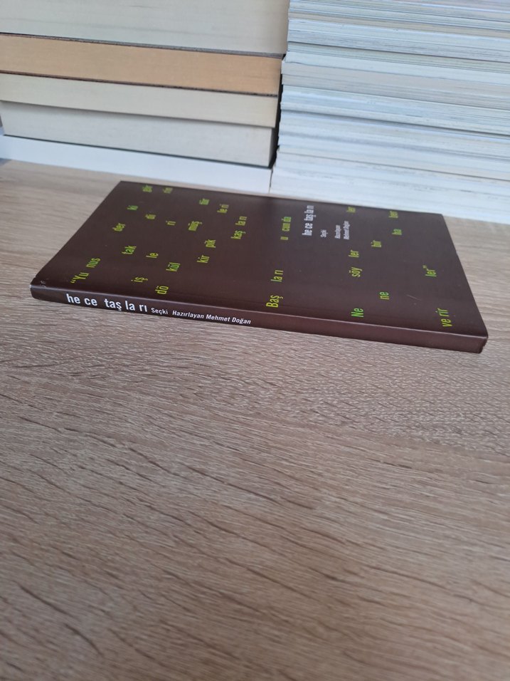 Hece Taşları - Mehmet Doğana Şiir Seçkisi Antoloji - Görsel 5