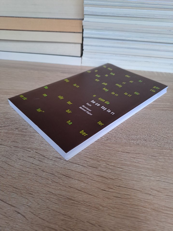 Hece Taşları - Mehmet Doğana Şiir Seçkisi Antoloji - Görsel 3