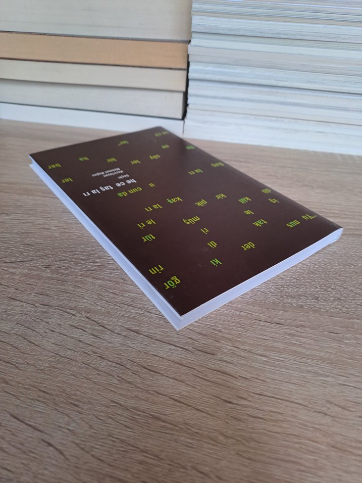 Hece Taşları - Mehmet Doğana Şiir Seçkisi Antoloji - Görsel 4