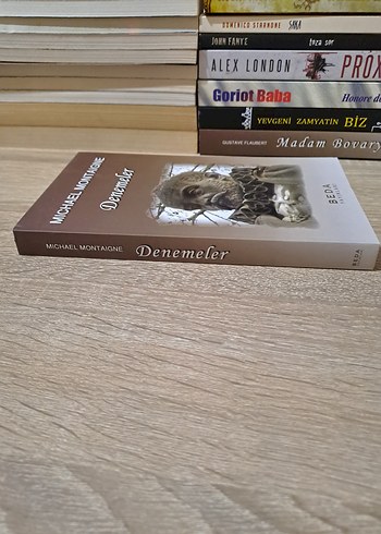 Denemeler - Michael Montaigne - Görsel 5