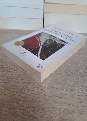 Lanetlenmiş Ağustos Böcekleri - Ahmet Cemal - Görsel 3