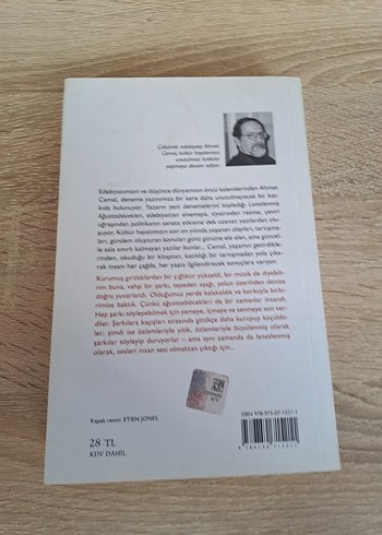 Lanetlenmiş Ağustos Böcekleri - Ahmet Cemal - Görsel 2