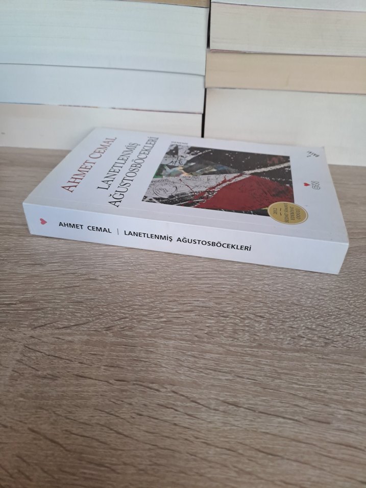 Lanetlenmiş Ağustos Böcekleri - Ahmet Cemal - Görsel 4