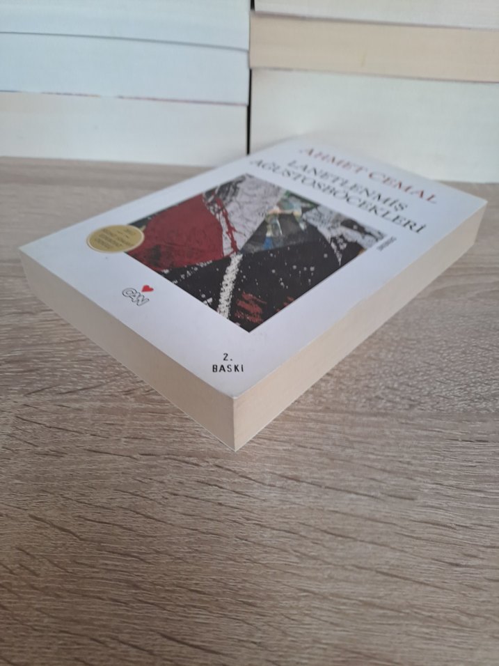 Lanetlenmiş Ağustos Böcekleri - Ahmet Cemal - Görsel 3