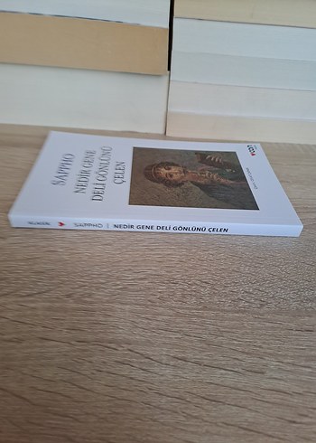 Sappho - Nedir Gene Deli Gönlünü Çelen Kitap - Görsel 5