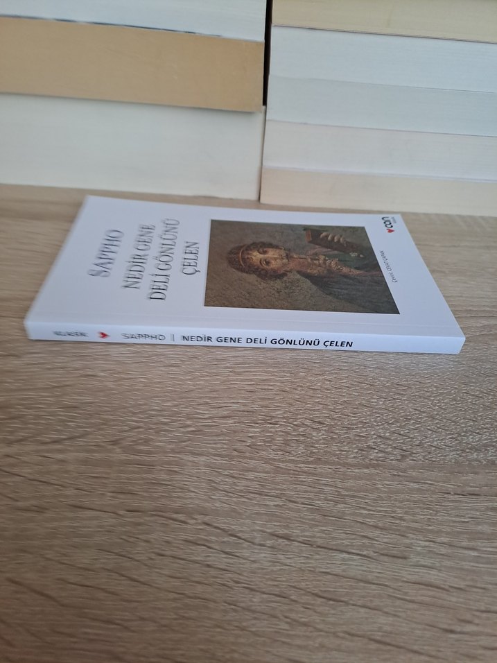 Sappho - Nedir Gene Deli Gönlünü Çelen Kitap - Görsel 5