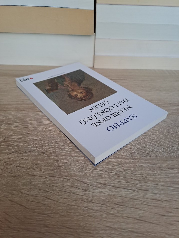Sappho - Nedir Gene Deli Gönlünü Çelen Kitap - Görsel 4