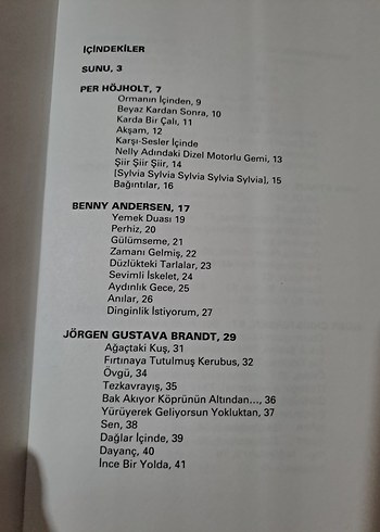 14 Çağdaş Danimarkalı Ozan - Görsel 6